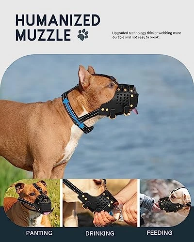 Dog Muzzle Leather, Pitbull Muzzle Amstaff Muzzles Staffordshire Terrier Secure Basket, Breathable And Adjustable Soft Muzzle For Medium Large Breeds Anti Biting Barking Chewing (Black, M) 5 Dog Muzzle Leather, Pitbull Muzzle Amstaff Muzzles Staffordshire Terrier Secure Basket, Breathable And Adjustable Soft Muzzle For Medium Large Breeds Anti Biting Barking Chewing (Black, M) - Image 5