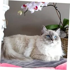 Balacoo 5pcs Pet Mat Pillow Dog Bed Plush Sofa Comfortable Sofa Cat Cushion Bed Plush Cat Mat Pet Bed Pad Crystal Velvet Grey Puppy Cushion Comfortable Dog Mat Dog Supplies Sun Flower Food -Zoomie Shop 51MbrcvgWIL