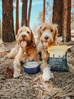Jiminy's Dry Dog Food - Hypoallergenic Dog Food, 100% Made In The USA, Gluten-Free, Sustainable, Sensitive Stomach Dog Food, High Protein - Good Grub Insect Protein Oven-Baked Dog Food 3.5 Lb Bag 7 Jiminy's Dry Dog Food - Hypoallergenic Dog Food, 100% Made In The USA, Gluten-Free, Sustainable, Sensitive Stomach Dog Food, High Protein - Good Grub Insect Protein Oven-Baked Dog Food 3.5 Lb Bag -Zoomie Shop 51MlqUpPvkL