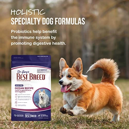 Best Breed Dr. Gary's Grain Free Ocean Recipe Slow-Cooked In USA, Natural Dry Dog Food For All Breeds And Sizes, 4lbs. 4 Best Breed Dr. Gary's Grain Free Ocean Recipe Slow-Cooked In USA, Natural Dry Dog Food For All Breeds And Sizes, 4lbs. - Image 4