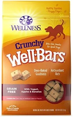 Wellness WellBars Natural Grain Free Crunchy Dog Treats, Yogurt, Apples & Banana, 45-Ounce Bag -Zoomie Shop 51MrqMoJN3L. AC