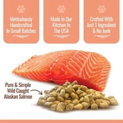 Smart Cookie Freeze Dried Salmon Bites - Single Ingredient Freeze Dried Salmon Treats For Dogs - Wild Caught Alaskan Salmon Dog Training Treats & Dog Food Topper - Made In USA - 2oz Bag, 3 Pack -Zoomie Shop 51N4gfTp4LL