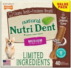 Nylabone Nutri Dent Filet Mignon Flavored Dog Dental Chews Mini - Up To 10 Lbs. 160 Count -Zoomie Shop 51NNjzuJZ7L. AC