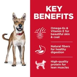 Hill's Science Diet Dry Dog Food, Adult, Chicken & Barley Recipe, 15 Lb. Bag -Zoomie Shop 51NZZA80ynL