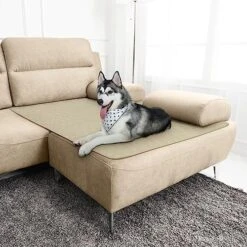 Furrybaby Waterproof Dog Bed Cover For Dog Beds & Furniture Machine Washable Waterproof Dog Blanket Anti Slip Couch Protector For Dogs Cats And Other Pets (Creamy-White, 82x102inch) -Zoomie Shop 51O4i9EHerL. AC