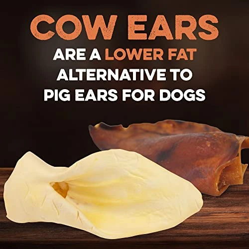 Premium Cow Ears For Dogs, Thick Cut & All-Natural Whole Ears, 100% Grass Fed Beef, No Additives Or Hormones, Safe Rawhide Alternative, Great Dog Treat Alternative To Pig Ears, Bully Sticks, Dog Bones 2 Premium Cow Ears For Dogs, Thick Cut & All-Natural Whole Ears, 100% Grass Fed Beef, No Additives Or Hormones, Safe Rawhide Alternative, Great Dog Treat Alternative To Pig Ears, Bully Sticks, Dog Bones - Image 2