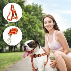 Large Dog Harness And Leash Set With Collar, No Pull Dog Harness No Escape Chew Proof Durable Dog Leash Personalized Adjustable Buckle Dog Collar With Pizza Food Pattern 20 Large Dog Harness And Leash Set With Collar, No Pull Dog Harness No Escape Chew Proof Durable Dog Leash Personalized Adjustable Buckle Dog Collar With Pizza Food Pattern -Zoomie Shop 51Oka8ZLikS