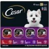 CESAR Wet Dog Food Classic Loaf In Sauce Beef Recipe, Filet Mignon, Grilled Chicken And Porterhouse Steak Variety Pack, (24) 3.5 Oz. Easy Peel Trays