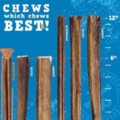 Jack&Pup Dog Bully Sticks For Medium Dogs, Odor Free Bully Sticks For Puppies - All Natural Single Ingredient Dog Treat Bully Chew Sticks For Dogs (Standard Bully Stick, 6 Inch (Pack Of 7)) -Zoomie Shop 51PS2IPWH9L