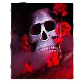 AOYEGO Fried Eggs Soft Throw Blanket Breakfast Omelette Diet Food 30x40 Inch Blanket Flannel Warm Travel Blankets For Pet Dog Cat -Zoomie Shop 51Q72hQAVnL. AC