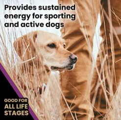 Victor Super Premium Dog Food – Professional Dry Dog Food – Super Premium Dog Food With 26% Protein, Gluten Free - For High Energy And Active Dogs & Puppies, 5lbs -Zoomie Shop 51QKid6H5xL