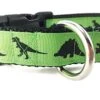 Dinosaur Dog Collar, Caninedesign, Green, T-Rex, Stegosaurus, Triceratops, 1 Inch Wide, Adjustable, Nylon, Medium And Large (Large 15-22")