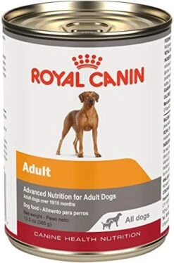 Royal Canin Canine Health Nutrition Adult In Gel Canned Dog Food, 13.5 Oz (Pack Of 12) -Zoomie Shop 51R7JdqHBQL. AC
