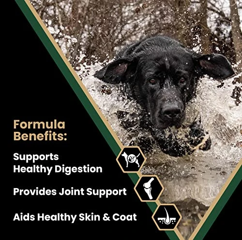 Victor Super Premium Dog Food – Performance Dry Dog Food – 26% Protein For Active Adult Dogs – Includes Glucosamine And Chondroitin For Hip And Joint Health, 40lbs 2 Victor Super Premium Dog Food – Performance Dry Dog Food – 26% Protein For Active Adult Dogs – Includes Glucosamine And Chondroitin For Hip And Joint Health, 40lbs - Image 2