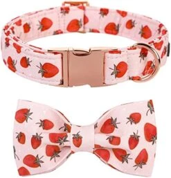 Lionet Paws Dog Collar With Bowtie - Cute Cotton Bowtie Dog Collar With Metal Buckle For Small Dog Girl Boy Gift, S, Neck 10-16in 26 Lionet Paws Dog Collar With Bowtie - Cute Cotton Bowtie Dog Collar With Metal Buckle For Small Dog Girl Boy Gift, S, Neck 10-16in -Zoomie Shop 51RnbAMHqhL. AC