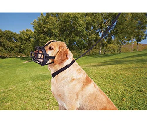 Dog Muzzle,Soft Basket Silicone Muzzles For Dog, Best To Prevent Biting, Chewing And Barking, Allows Drinking And Panting, Used With Collar 2 Dog Muzzle,Soft Basket Silicone Muzzles For Dog, Best To Prevent Biting, Chewing And Barking, Allows Drinking And Panting, Used With Collar - Image 2