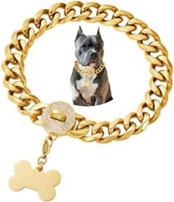 Girl Boy Cute Gold Chain Metal Dog Collar, Steel Heavy Duty Strong Dog Necklace With Magnet Buckle -Zoomie Shop 51SEgr9IsPL. AC