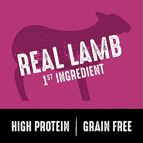 CRAVE Grain Free High Protein Adult Dry Dog Food With Lamb, 4 Lb. Bag 3 CRAVE Grain Free High Protein Adult Dry Dog Food With Lamb, 4 Lb. Bag - Image 3
