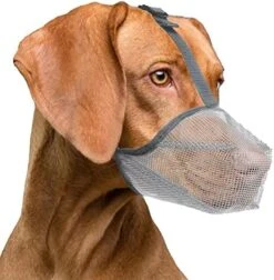 Lepark Dog Muzzle With Mesh Cover Muzzle For Small Medium Large Dogs, Prevent Biting Barking And Licking(S,Black) -Zoomie Shop 51SQoKLDewL. AC 3