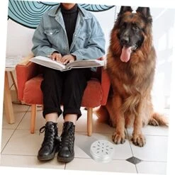 10pcs Tools Vessel Tools Threading Tool Dog Scent Training Kit Dog Scent Work Container Nose Work Dog Training Kit Dogs Scent Training Tool Dog Training Aroma Case Suite -Zoomie Shop 51SswXrXd1L