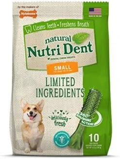 Nylabone Nutri Dent Filet Mignon Flavored Dog Dental Chews Mini - Up To 10 Lbs. 160 Count -Zoomie Shop 51T8YUMe2EL. AC