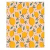 AOYEGO Lemon Soft Throw Blanket Fresh Fruit Yellow Lemons Green Leaves Food 30x40 Inch Blanket Flannel Warm Travel Blankets For Pet Dog Cat