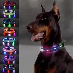 Joytale Light Up Dog Collars Rechargeable, High Visibility LED Dog Collar for Pet Night Walking, 3 Flash Modes, Rainproof PVC Glow Collar Adjustable for Small Medium Large Dogs, Teal, L -Zoomie Shop 51TcFppI6gL. AC