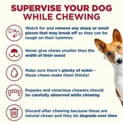 Best Bully Sticks 5 To 6 Inch Variety Pack Stuffed Shin Bones - USA Baked & Packed Shin Bones For Dogs - Highly Digestible Fillings, Long Lasting And Refillable - 3 Pack -Zoomie Shop 51TuRurkrtL