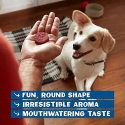 Pup-Peroni Rounds Beef Brisket Dog Treats, 5 Ounce Bag (Pack Of 8) -Zoomie Shop 51UxWclIV0L