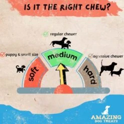 Amazing Dog Treats Gullet Sticks For Dogs- (6 Inch - 20 Count) - Jerky Chews For Dogs - Esophagus Beef Gullet -Zoomie Shop 51VqU5MMlzL