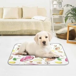 Washable Dog Cooling Mat Vegetables Meat Nuts Summer Cats Sleeping Mat Various Food Dog Bed Mats 23.6 * 38.6inch Pet Ice Silk Sleep Kennel Pad Animal Sleep Bed For Home Outdoor Travel -Zoomie Shop 51VzqKc1g2L
