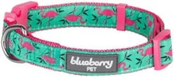 Blueberry Pet Essentials 10 Patterns Statement Busy Bees Designer Adjustable Dog Collar, Large, Neck 18"-26" -Zoomie Shop 51WQX A8NFL. AC