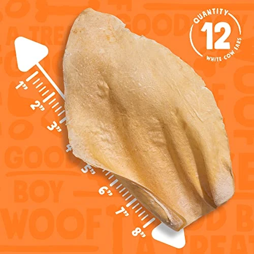 JollyBarks White Cow Ears For Dogs, Rawhide Free Dog Chews Long Lasting Dog Treats For Medium Dogs, Healthy Dog Treats For Large Dog | Cow Ear Dog Chew Treats All Natural Dog Treats Small Dogs (12 Pk) 4 JollyBarks White Cow Ears For Dogs, Rawhide Free Dog Chews Long Lasting Dog Treats For Medium Dogs, Healthy Dog Treats For Large Dog | Cow Ear Dog Chew Treats All Natural Dog Treats Small Dogs (12 Pk) - Image 4