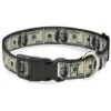 Buckle-Down Plastic Clip Collar - 100 Dollar Bills - 1" Wide - Fits 11-17" Neck - Medium