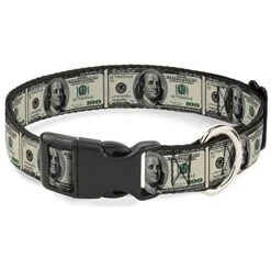 Buckle-Down Plastic Clip Collar - 100 Dollar Bills - 1" Wide - Fits 11-17" Neck - Medium