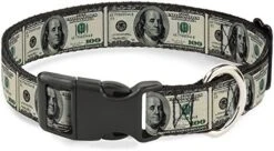 Buckle-Down Plastic Clip Collar - 100 Dollar Bills - 1" Wide - Fits 11-17" Neck - Medium 19 Buckle-Down Plastic Clip Collar - 100 Dollar Bills - 1" Wide - Fits 11-17" Neck - Medium -Zoomie Shop 51X1vfffuDL. AC 2