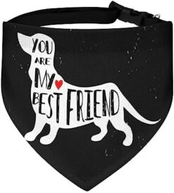 GENERIC Bigfoot Retro Sunset Pet Bandana Collar - Scarf Collar - Art Dog Bandana Minimal Head Cicumference -Zoomie Shop 51XVCWe62PL. AC