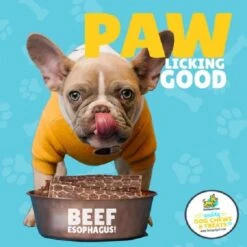 Beef Esophagus Dog Treats (6 INCHES) Grass Fed With No Added Hormone All Natural Jerky Dog Treats - Dog Chews Rich In Glucosamine & Chondroitin For Joint Health (6 Inch - 25 Count) -Zoomie Shop 51YESt0yhRL