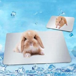 SONGBIRDTH Summer Small Pet Hamster Rabbit Aluminum Alloy Cooling Mat Non-Slip Cage Bed Pad,Breathable Cotton Blend,Removable Easy To Clean Silver L 11 SONGBIRDTH Summer Small Pet Hamster Rabbit Aluminum Alloy Cooling Mat Non-Slip Cage Bed Pad,Breathable Cotton Blend,Removable Easy To Clean Silver L -Zoomie Shop 51YFL3JsDUL