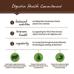 Zoomie Shop -Zoomie Shop 51YRG4xNufL