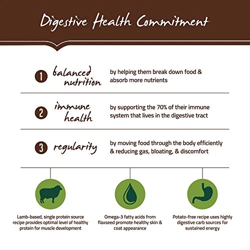 Holistic Select Natural Dry Dog Food, Lamb Meal Recipe, 30-Pound Bag 2 Holistic Select Natural Dry Dog Food, Lamb Meal Recipe, 30-Pound Bag - Image 2