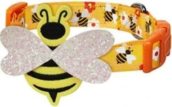 Blueberry Pet Essentials 10 Patterns Statement Busy Bees Designer Adjustable Dog Collar, Large, Neck 18"-26" -Zoomie Shop 51YejNbPjWL. AC