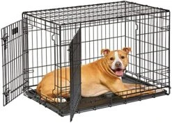 MidWest Homes For Pets XL Dog Crate | MidWest Life Stages Folding Metal Dog Crate | Divider Panel, Floor Protecting Feet, Leak-Proof Dog Pan | 48L X 30W X 33H Inches, XL Dog Breed -Zoomie Shop 51Z0FmQmjPL. AC