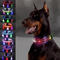 Joytale Light Up Dog Collars Rechargeable, High Visibility LED Dog Collar for Pet Night Walking, 3 Flash Modes, Rainproof PVC Glow Collar Adjustable for Small Medium Large Dogs, Teal, L -Zoomie Shop 51ZFv9jWIcL. AC 1
