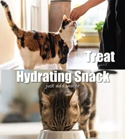 Whole Life Pet Just One Salmon Dog And Cat Value Packs - Human Grade, Freeze Dried, One Ingredient - Protein Rich, Grain Free, Made In The USA 9 Whole Life Pet Just One Salmon Dog And Cat Value Packs - Human Grade, Freeze Dried, One Ingredient - Protein Rich, Grain Free, Made In The USA -Zoomie Shop 51ZG1Eqdg8L