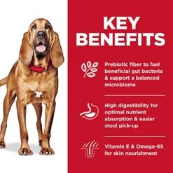 Hill's Science Diet Adult Sensitive Stomach And Skin Large Breed Dry Dog Food, Chicken Recipe, 30 Lb. Bag 6 Hill's Science Diet Adult Sensitive Stomach And Skin Large Breed Dry Dog Food, Chicken Recipe, 30 Lb. Bag -Zoomie Shop 51ZGFsWHGML