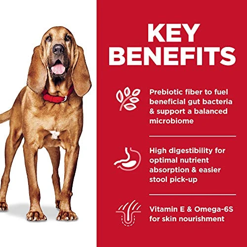 Hill's Science Diet Adult Sensitive Stomach And Skin Large Breed Dry Dog Food, Chicken Recipe, 30 Lb. Bag 3 Hill's Science Diet Adult Sensitive Stomach And Skin Large Breed Dry Dog Food, Chicken Recipe, 30 Lb. Bag - Image 3