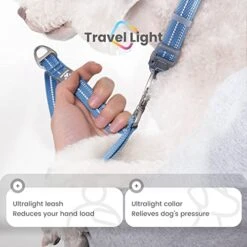 Pawaii Dog Collar And Leash Set With QR Code Pet ID Tag, Personalized Dog Collar With Reflective Dog Leash, Dog Collar And Leash For Small Medium Big Dogs Adjustable Size -Zoomie Shop 51ZKjQZfRPL