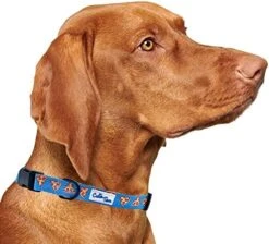 CUTIE TIES Dog Collar Breakfast Club – Durable Nylon Material - Premium Quality Collars For Dogs - Cute Dog Collars In Three Sizes (Breakfast Club, Medium (13" - 20")) 21 CUTIE TIES Dog Collar Breakfast Club – Durable Nylon Material - Premium Quality Collars For Dogs - Cute Dog Collars In Three Sizes (Breakfast Club, Medium (13" - 20")) -Zoomie Shop 51ZM7dlSG4L. AC