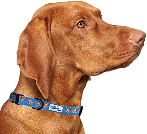 CUTIE TIES Dog Collar Breakfast Club – Durable Nylon Material - Premium Quality Collars For Dogs - Cute Dog Collars In Three Sizes (Breakfast Club, Medium (13" - 20")) 7 CUTIE TIES Dog Collar Breakfast Club – Durable Nylon Material - Premium Quality Collars For Dogs - Cute Dog Collars In Three Sizes (Breakfast Club, Medium (13" - 20")) - Image 7